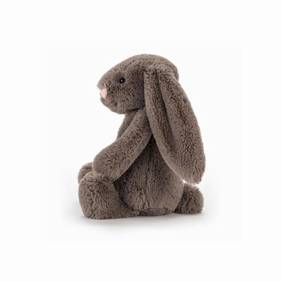 Jellycat Bashful Truffle Bunnies USA | 04123ZMCL